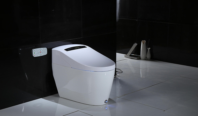 Intelligent Toilet